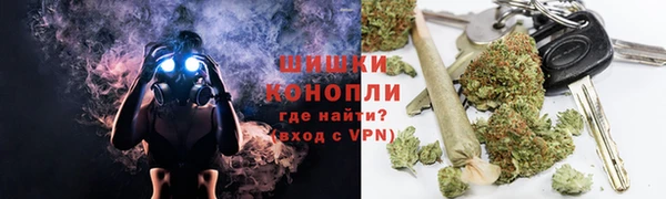 сатива Бугульма