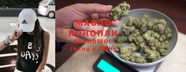 таблы Бородино