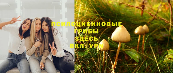 таблы Бородино