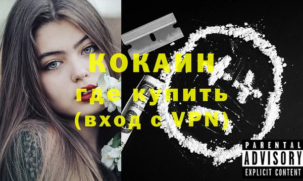 таблы Бородино